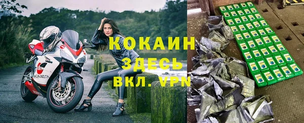 соль ск Алзамай