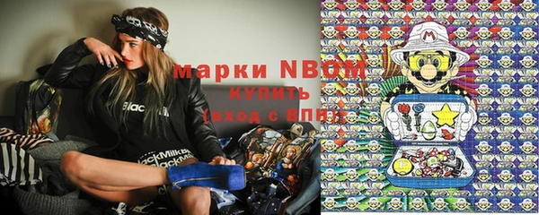 ешки Алексин