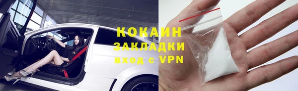 ешки Алексин