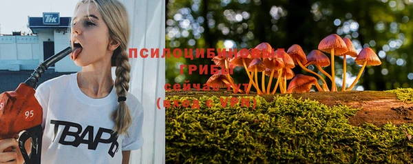 ешки Алексин