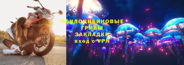 соль ск Алзамай