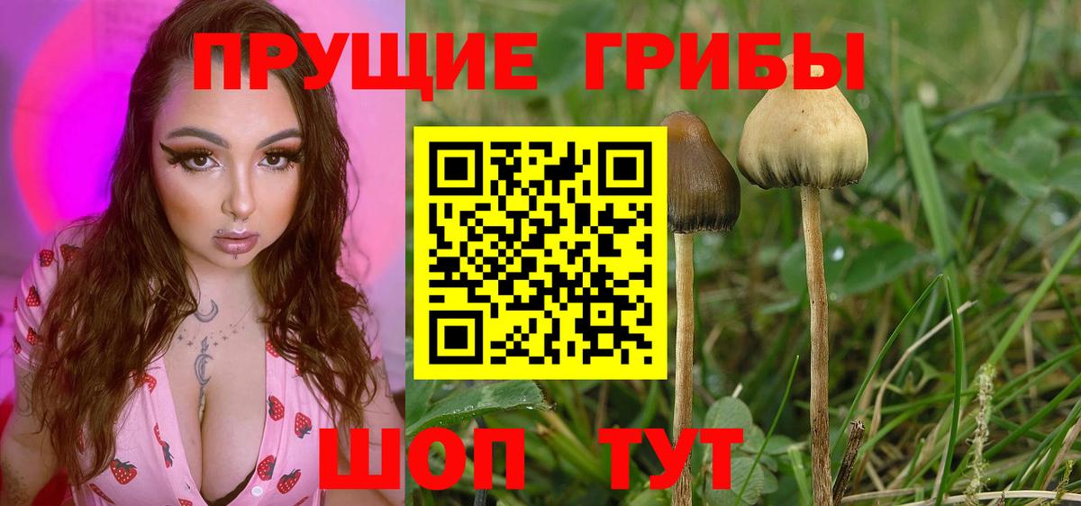 Галлюциногенные грибы MAGIC MUSHROOMS Нововоронеж