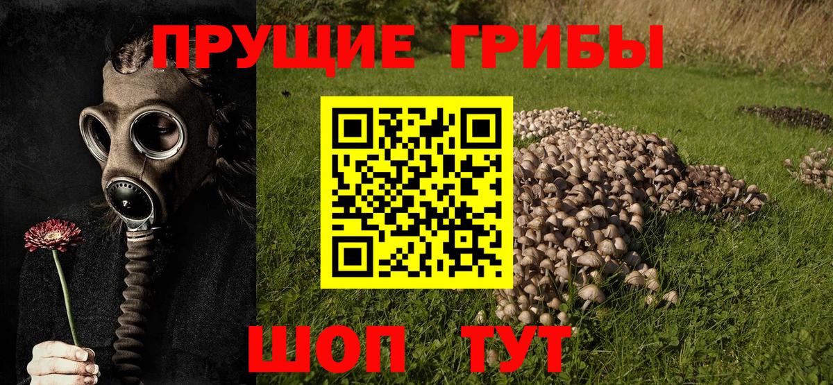 Нововоронеж  Псилоцибиновые грибы ЛСД  Вход с VPN 